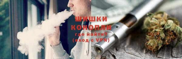 ПСИЛОЦИБИНОВЫЕ ГРИБЫ Богданович