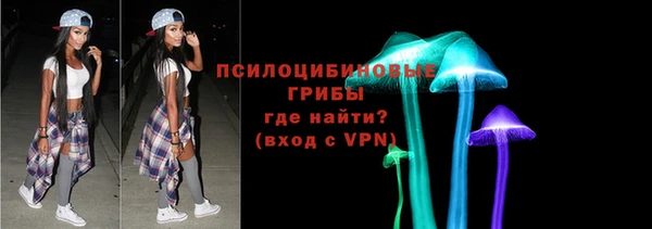 ПСИЛОЦИБИНОВЫЕ ГРИБЫ Богданович