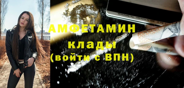 ПСИЛОЦИБИНОВЫЕ ГРИБЫ Богданович