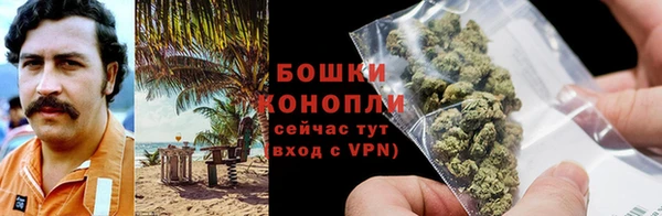сатива Богородск