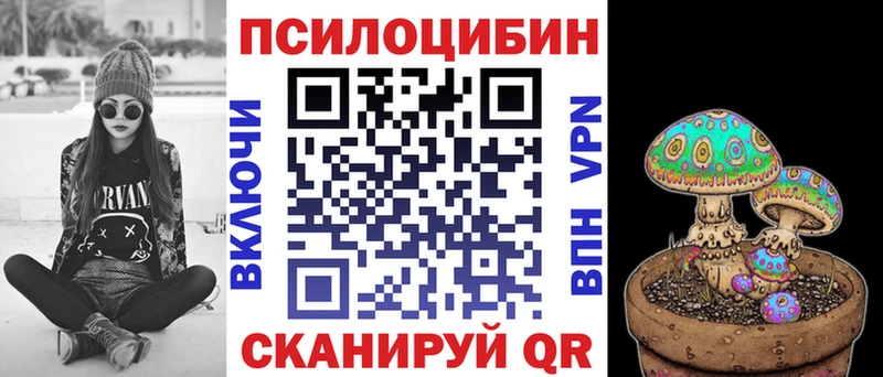 Галлюциногенные грибы Cubensis  Ессентукская 
